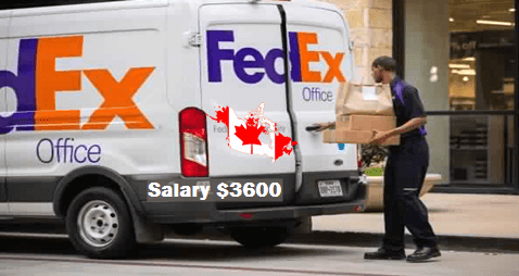 Fedex A Successful Global Company